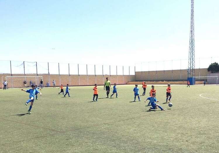 La Concejalía de Deportes ha iniciado los trámites administrativos para acometer la actuación (Foto TA)